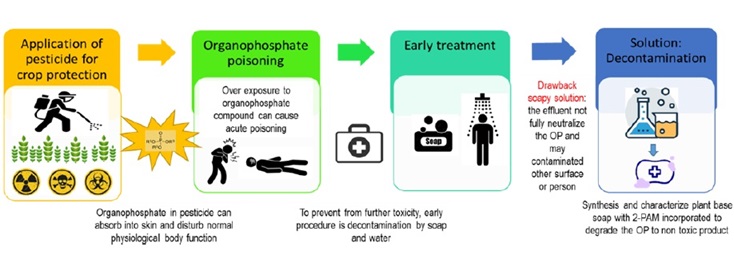 Synthesis and Physicochemical Characterization of 2-Pyridine Aldoxime Methiodide (2-PAM) Incorporated Plant Based Solid Soap for an Organophosphate Decontaminant