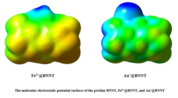 Adsorption of Transition Metal Cations (Cr2+, Mn2+, Fe2+, Cu+, Ag+ and Au+) on Boron Nitride Nanotube: Structural Analysis and Electronic Properties