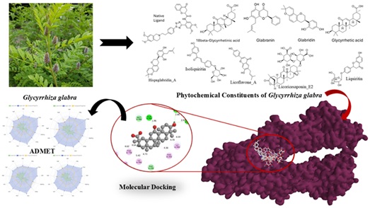 Molecular Docking and ADMET-Based Discovery of <em>Glycyrrhiza glabra</em> Bioactives as P-Glycoprotein Inhibitors for Combating Multidrug Resistance 