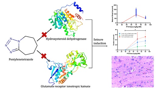Comprehensive Bioinformatics, Molecular Docking, and <em>In Vivo</em> Investigation of a Novel Mechanistic Pathway in Pentylenetetrazole-Induced Seizures 