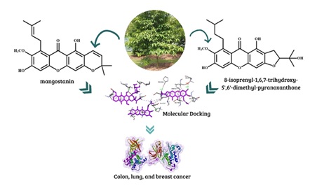 <em>In Silico</em> Evaluation of Anticancer Activity of Chemical Compounds from <em>Garcinia Rigida </em>Miq. 