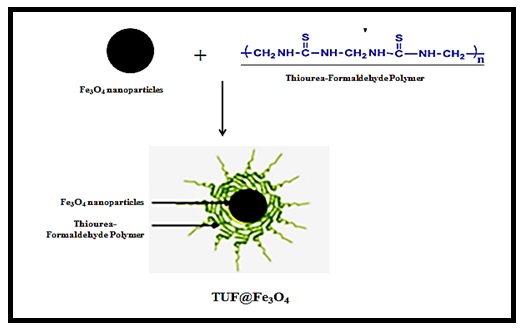 Synthesis and characterization of a nanomagnetic adsorbent modified with Thiol for magnetic and investigation of its adsorption behavior for effective elimination of heavy metal ions 