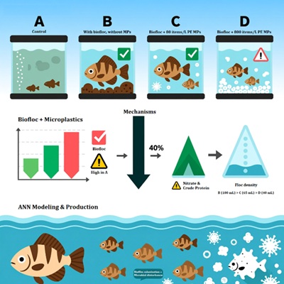 Artificial Neural Network (ANN) Modeling of Biofloc and Polyethylene Microplastic Effects on Water Quality, Floc Dynamics, and Nile Tilapia Production 