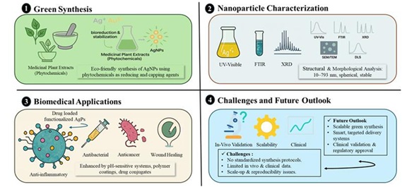 Green Synthesis of Metallic Nanoparticles Using Medicinal Plant Extracts for Targeted Drug Delivery: A Systematic Review 
