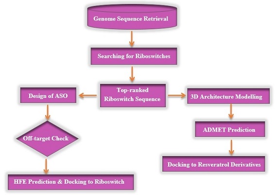 Empowering Therapeutic Strategies against Methicillin-Resistant Staphylococcus Aureus Riboswitch: Unveiling the Potential of Small Molecules and Antisense Oligonucleotides through In Silico Analysis 