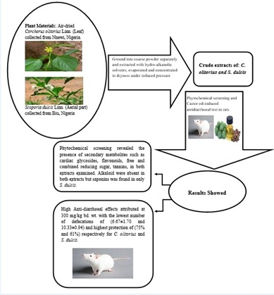 Levels of Castor Oil-Induced Diarrhoea in Rats Treated with Leaf Extract of Corchorus olitorius Linn and Aerial Part Extract of Scoporia dulcis Linn 