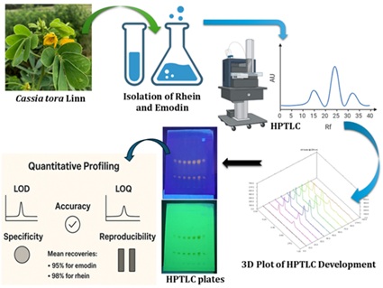 Isolation and Quantitative Profiling of Rhein and Emodin from <em>Cassia tora </em>Linn Using Validated HPTLC Method 