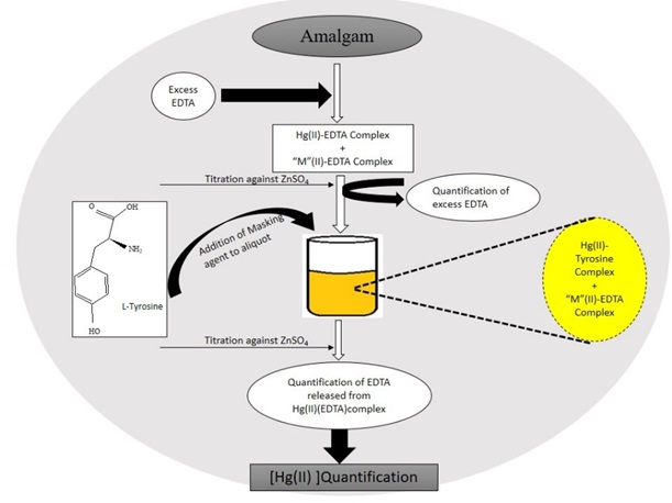 A Highly Selective Complexometric Determination of Mercury(II) using L-Tyrosine as a Masking agent 