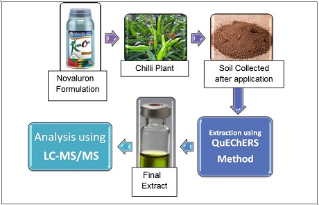 Determination of Novaluron Residues in Soil under Chilli Pepper Ecosystem Using Liquid Chromatography Tandem Mass Spectrometry 