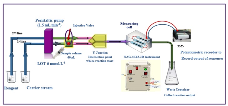A Novel Study in the Determination of Loratadine in Pharmaceutical Samples by Precipitating with 3,5-Dinitrosalicylic Acid Utilizing the NAG_4SX3_3D Analyzer at 0-180o in Conjunction with the Continuous Flow Injection Analysis (CFIA) Technique