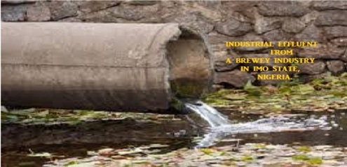 Physico-Chemical Parameters of Industrial Effluents from a Brewery Industry in Imo State, Nigeria 