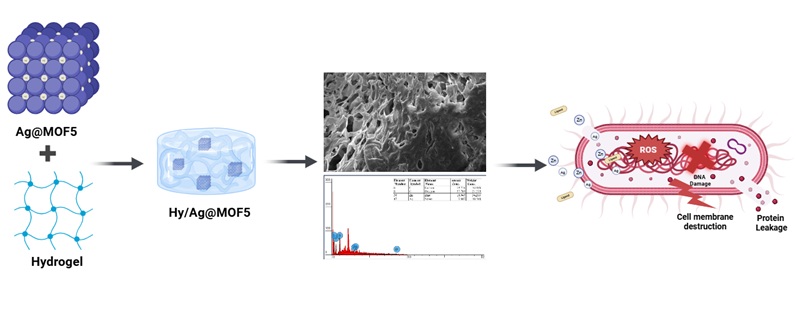 Cytotoxicity and Antibacterial Activity of Ag@MOF-5 Loaded Alginate&ndash;Gelatin Hydrogel as a Promising Antimicrobial Biomaterial 