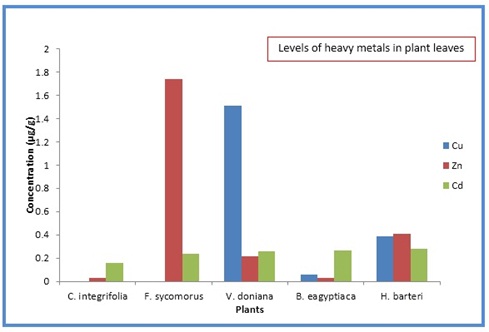 Comparison of Elemental Contents of Some Edible Plant Leaves in Hong Local Government Area of Adamawa State, Nigeria 