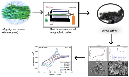 Structural and Spectroscopic Insights into Guinea Grass Derived Porous Carbon for Electrochemical Energy Storage and Synthesis of Bis(indolyl)methane Derivatives of 2-Phenyl-1<em>H</em>-indole 