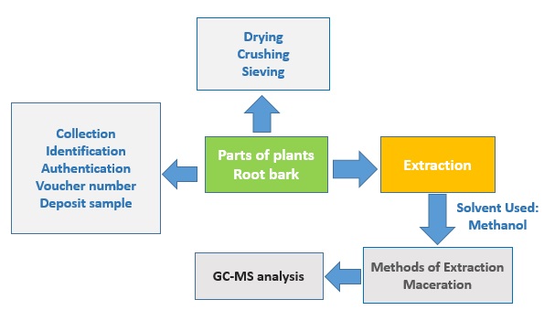 GC-MS Analysis of Methanol Extract of Strychnos Innocua (Delile) Root Bark 