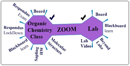 A Potential Package for Organic Chemistry Remote Teaching 