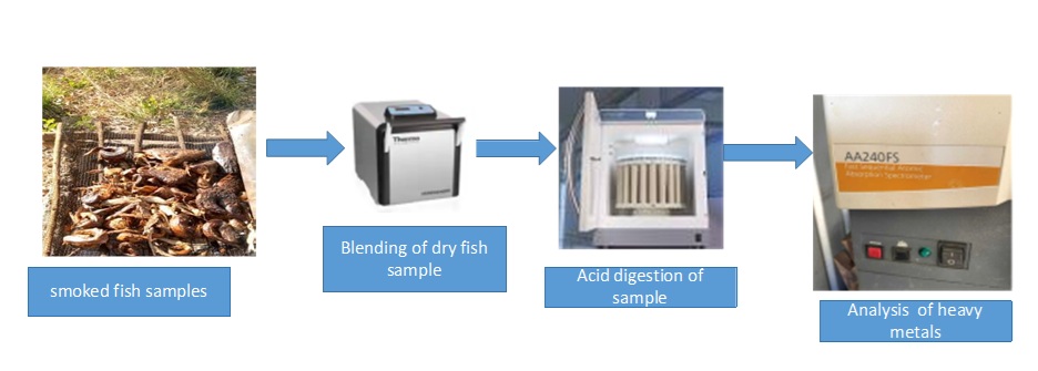 Heavy Metals Detected in Water Bodies and Locally Smoked Fish Species in Mining Communities 